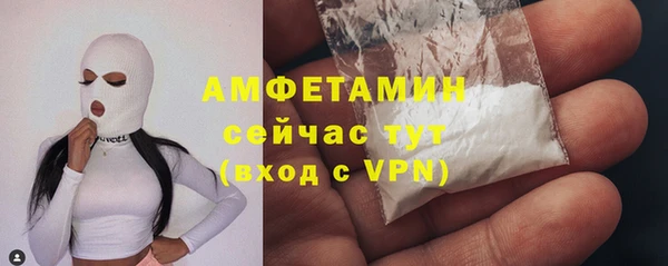 МДПВ Михайлов