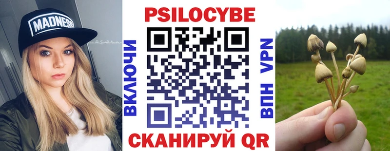 Галлюциногенные грибы Psilocybe  сколько стоит  Миньяр 