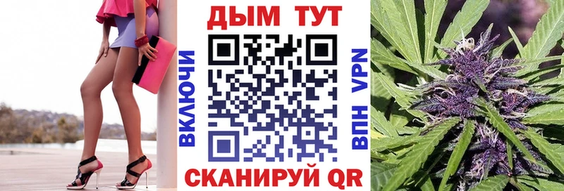 Бошки марихуана Amnesia  как найти   Миньяр 